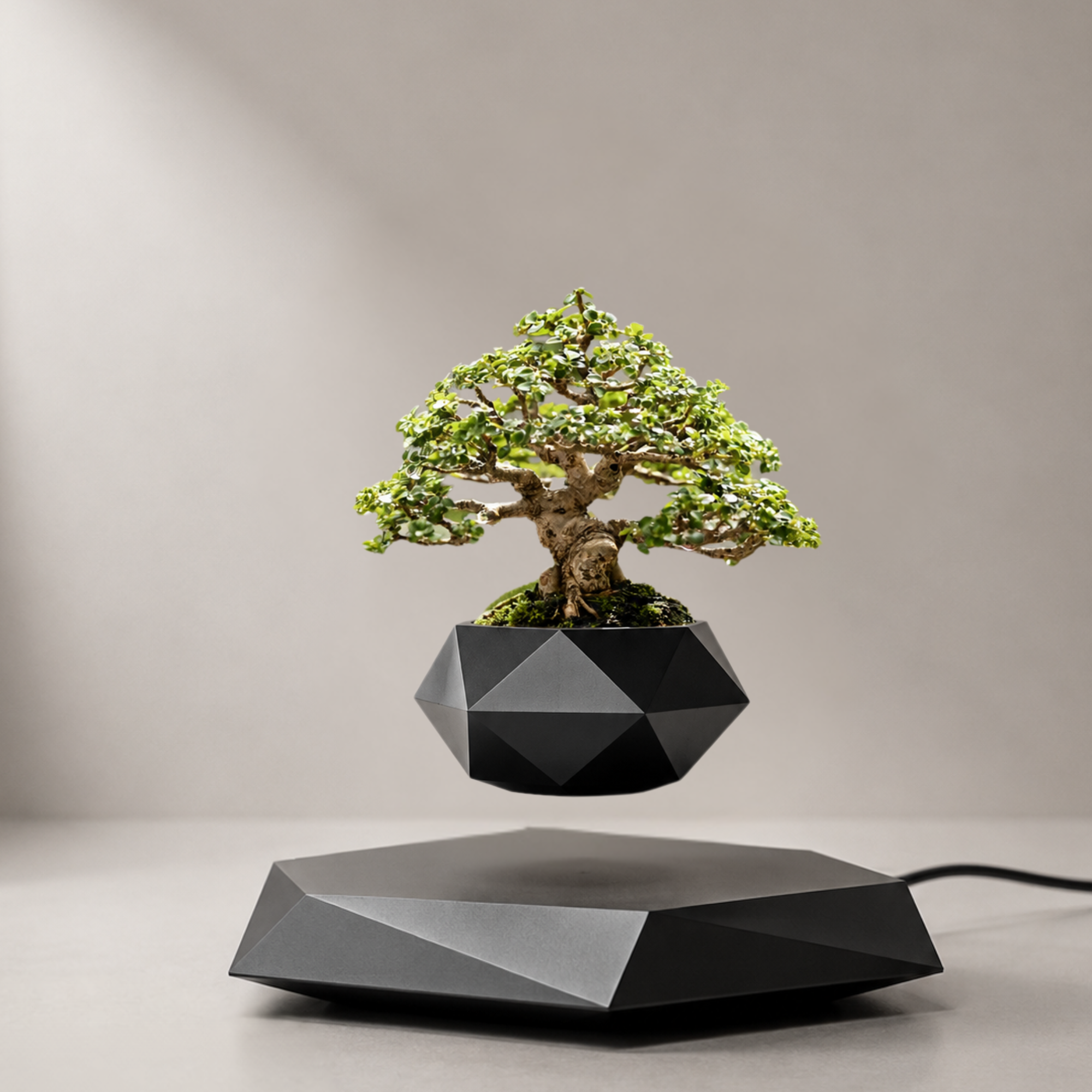 hover plant pot AeroBloom Levitating Pot – Floating Magnetic Plant Pot – PerfectShine